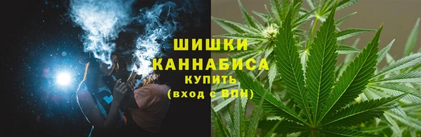 бутират Горнозаводск
