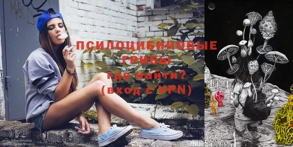 2c-b Вяземский