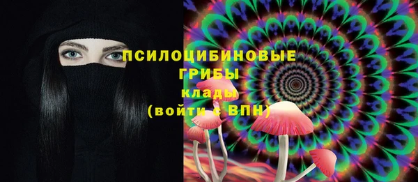 герыч Горняк