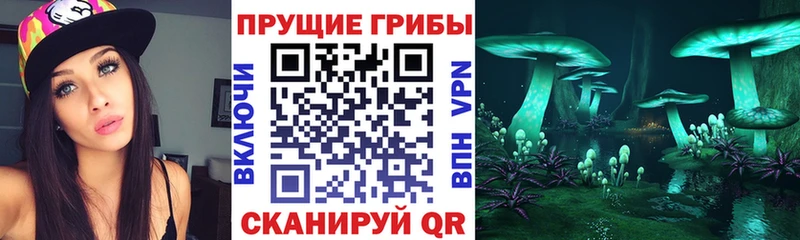 Псилоцибиновые грибы прущие грибы  Купить где  Северодвинск 